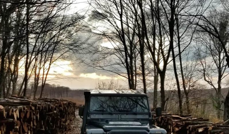 1988 2.5 Diesel Land Rover Defender 110 Station Wagon full
