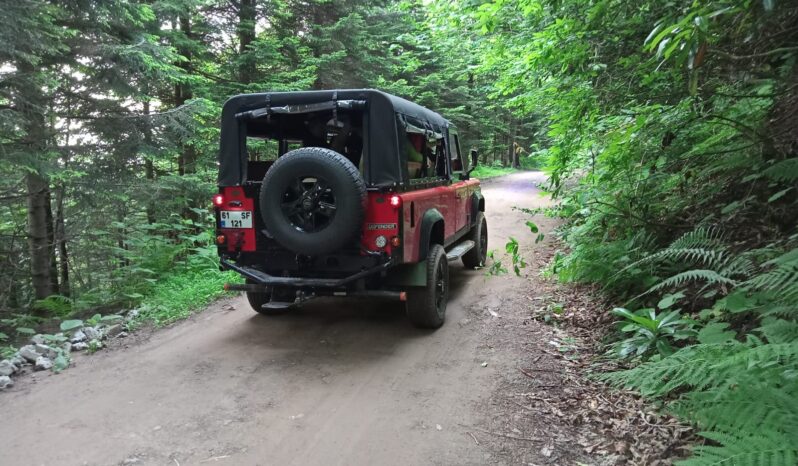 1992 Land Rover Defender 110 2.5 D Station Wagon 3-doors red full